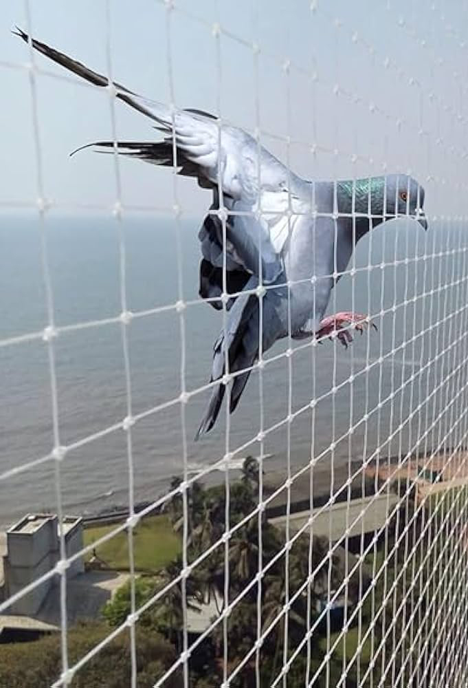  Kraft paper Supplier in India